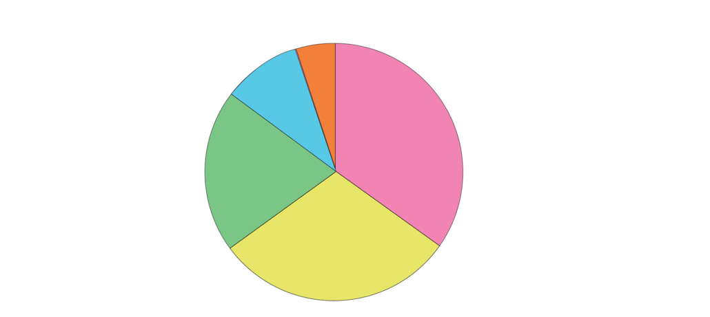 Grafico-1